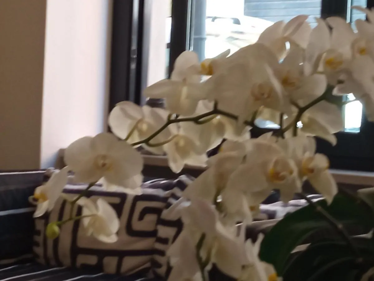 Hotel Touring Livorno